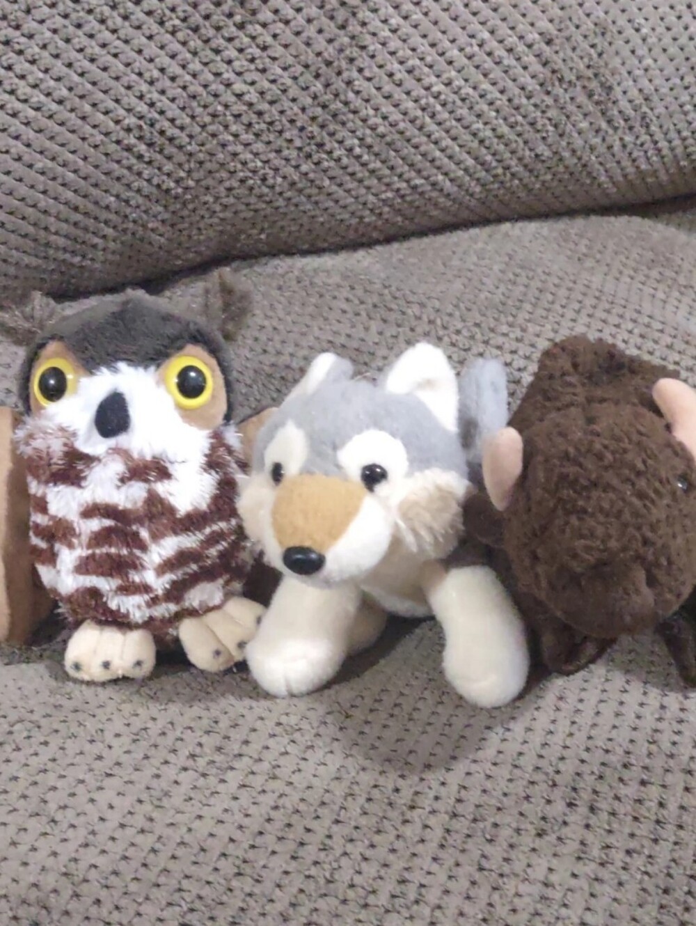 Wild Republic & Ty 5 inch Plushy/Stuffed Animal Bundle of 3
